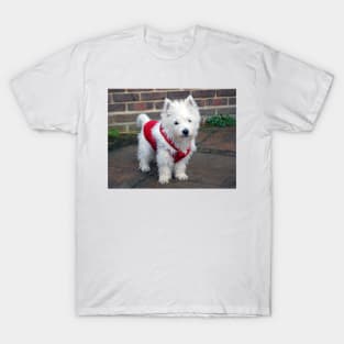 Christmas Pup T-Shirt